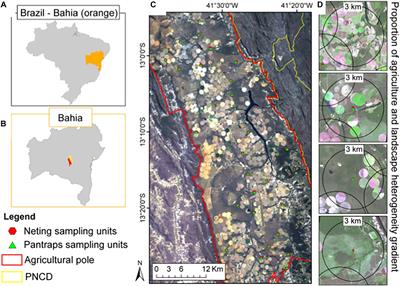 Landscape Structure Is a Major Driver of Bee Functional Diversity in Crops